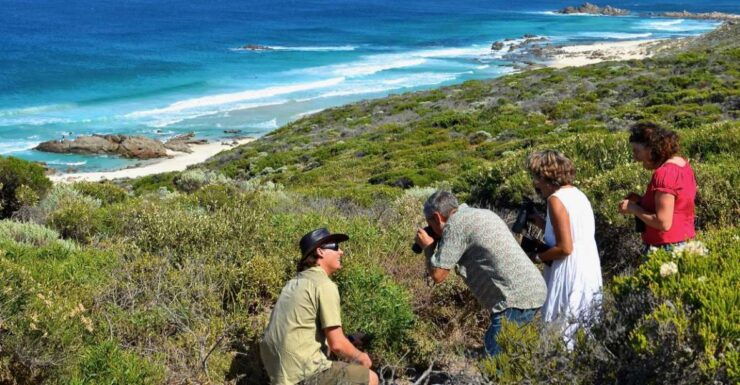 From Busselton: Half-Day Coastal and Wildlife Eco Tour - Tour Booking Details