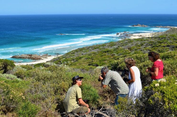 From Busselton: Half-Day Coastal and Wildlife Eco Tour - Experience Highlights