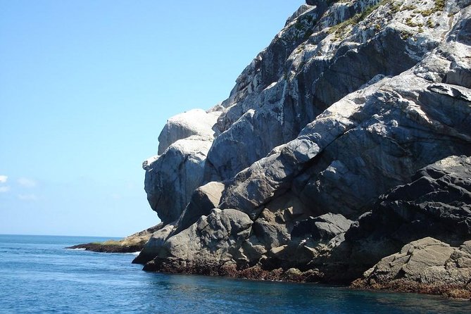 From Buzios To Arraial With Photos On A Private Tour! - Cancellation Policy
