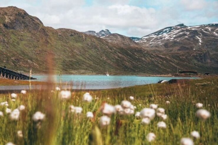 From Bygdin: Hike and Dine in Jotunheimen Tour - Tour Details