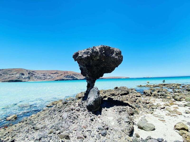 From Cabo/San José del Cabo: La Paz, Balandra & Todos Santos - The Itinerary in Detail