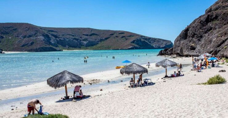 From Cabo San Lucas: La Paz and Todos Santos Day Trip - Tour Highlights