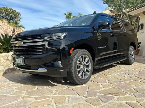 From Cabo San Lucas: La Paz (Roundtrip) - Professionalism and Service