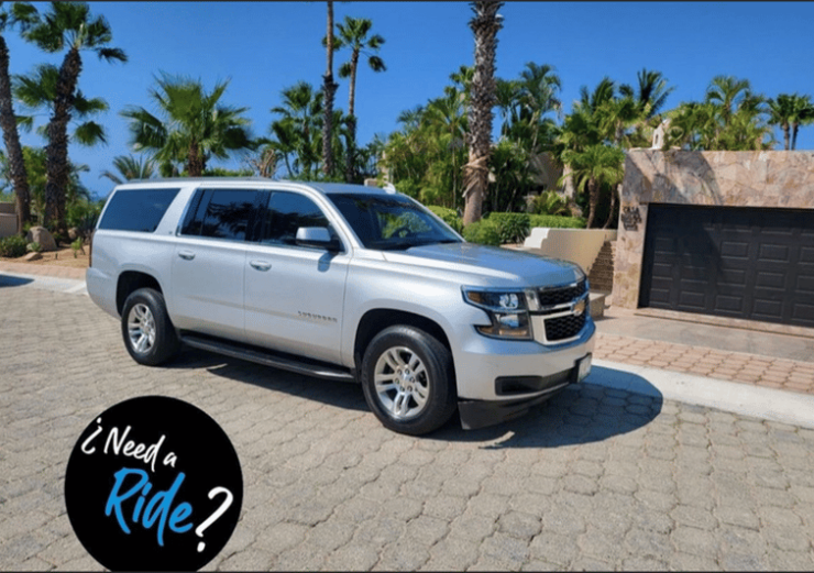 From Cabo San Lucas: La Paz Roundtrip - Good To Know