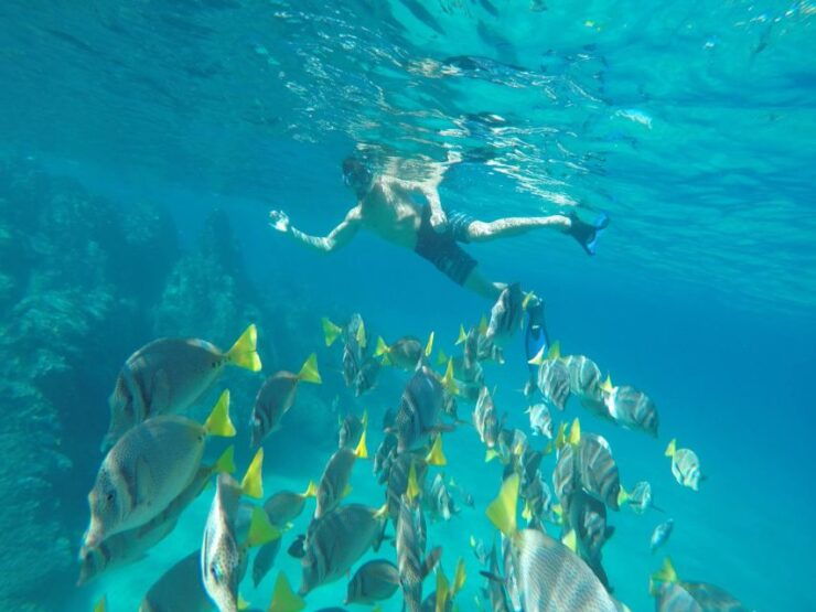 From Cabo San Lucas: Lovers Beach and El Arco Boat Trip - Booking Details
