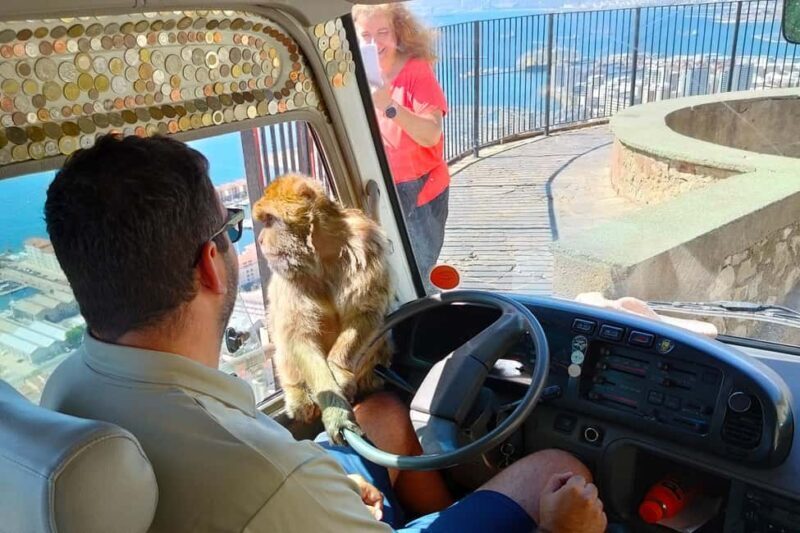 From Cadiz Bay: Gibraltar Day Trip with Rock Tour - Final Thoughts: Who Is This Tour Best For?