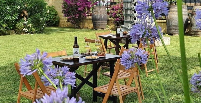 From Cádiz: Chiclana de la Frontera Winery Tour with Lunch - Who Will Love This Tour?