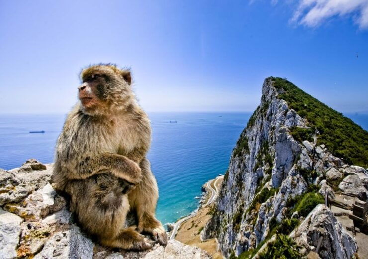 From Cádiz: Private Day Trip to Gibraltar and Bolonia - Booking Details