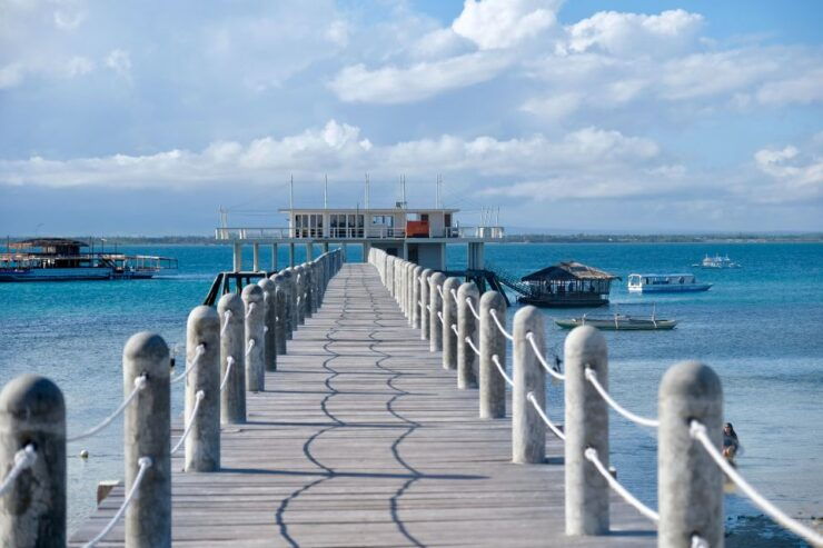 From Cadiz: Private White Villages and City Guided Tour - Highlights of the Experience
