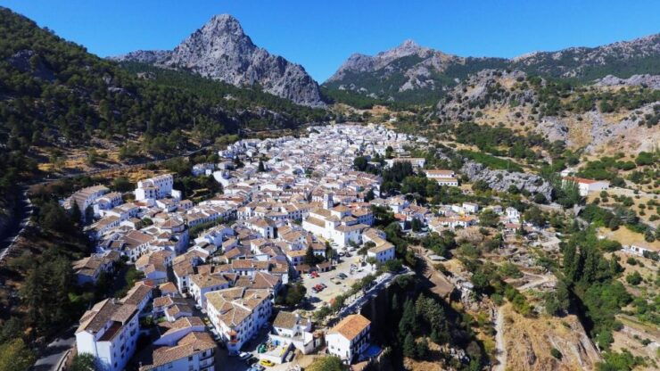 From Cadiz: Private White Villages of Andalusia Day Trip - Experience Highlights