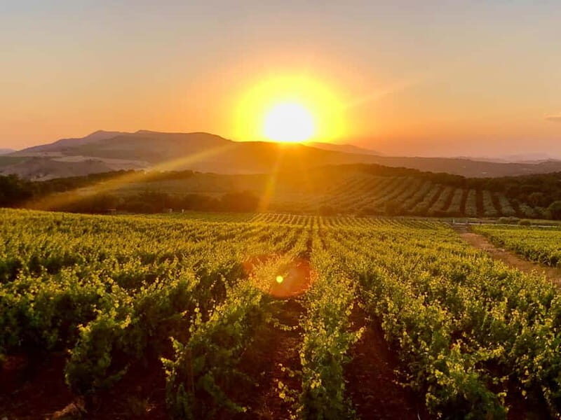 From Cádiz: Ronda Premium Private Day Tour with Wine Tasting - Discovering Ronda: An Unforgettable Day Trip from Cádiz