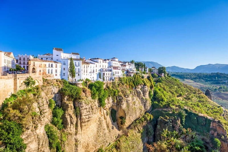 From Cádiz: Ronda Premium Private Day Tour with Wine Tasting - The Wine Tasting at Bodegas Excelencia