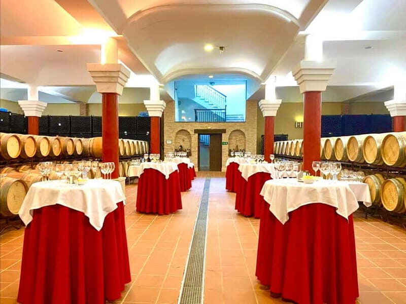 From Cádiz: Ronda Premium Private Day Tour with Wine Tasting - FAQs