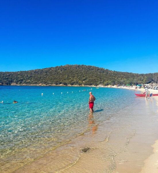 From Cagliari: Chia and Tuerredda Full-Day Guided Beach Tour - The Sum Up