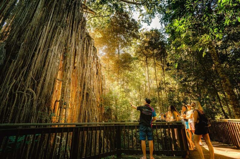From Cairns: 2-Day Waterfall and Daintree Tour - Good To Know