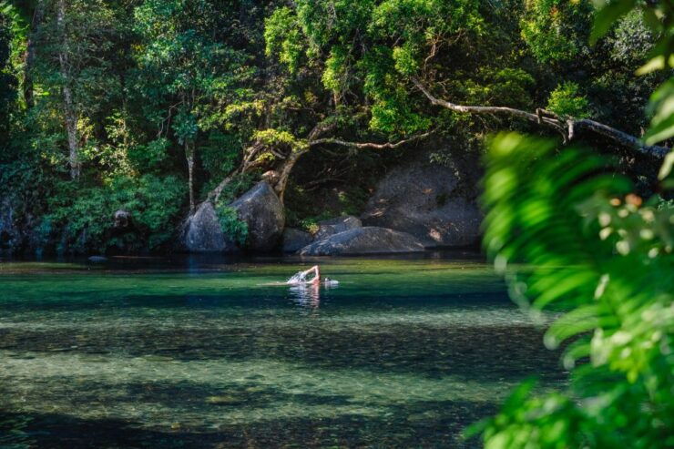 From Cairns: Atherton Tableland Wilderness Tour With Lunch - Activity Details