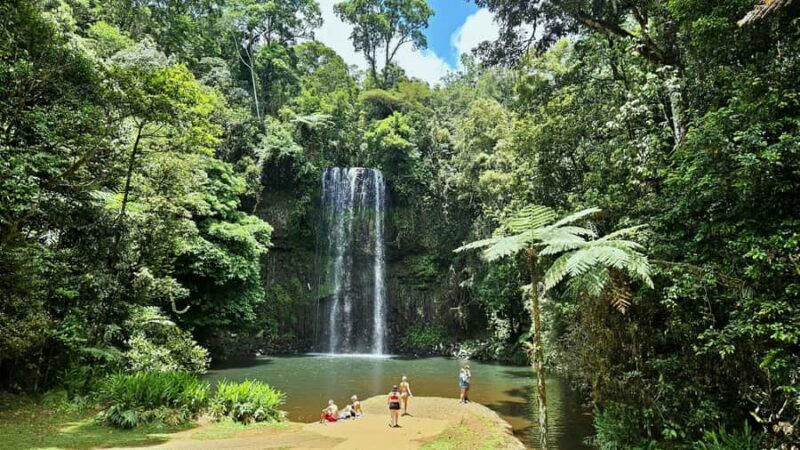 From Cairns: Atherton Tablelands and Paronella Park Day Trip - An In-Depth Look at the Cairns Atherton Tablelands & Paronella Park Tour