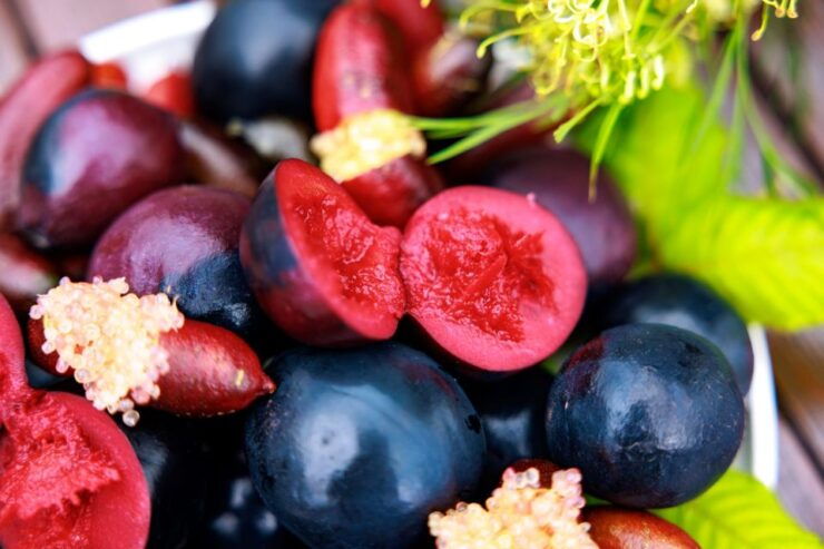 From Cairns: Atherton Tablelands Food and Wine Tasting Tour - Tour Details