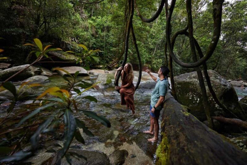 From Cairns: Barefoot Tablelands Waterfall & Rainforest Tour - Final Thoughts: Is It Worth It?