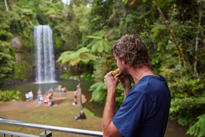 From Cairns: Barefoot Tablelands Waterfall & Rainforest Tour - Exploring the Itinerary in Detail