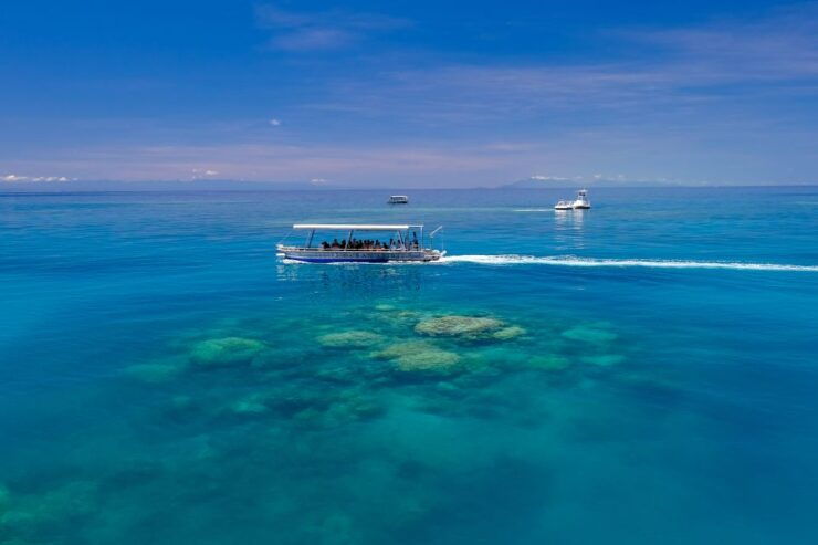 From Cairns: Cruise to Michaelmas Cay With Water Activities - Sailing Catamaran Experience
