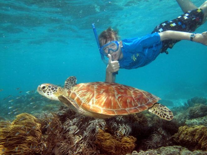 From Cairns: Cruise to Michaelmas Cay With Water Activities - Directions and Location