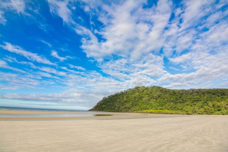 From Cairns: Daintree National Park Day Trip and Night Tour - Activity Details