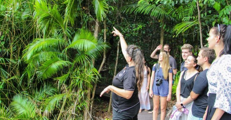 From Cairns: Daintree Wilderness & Cape Tribulation Bus Tour - Good To Know