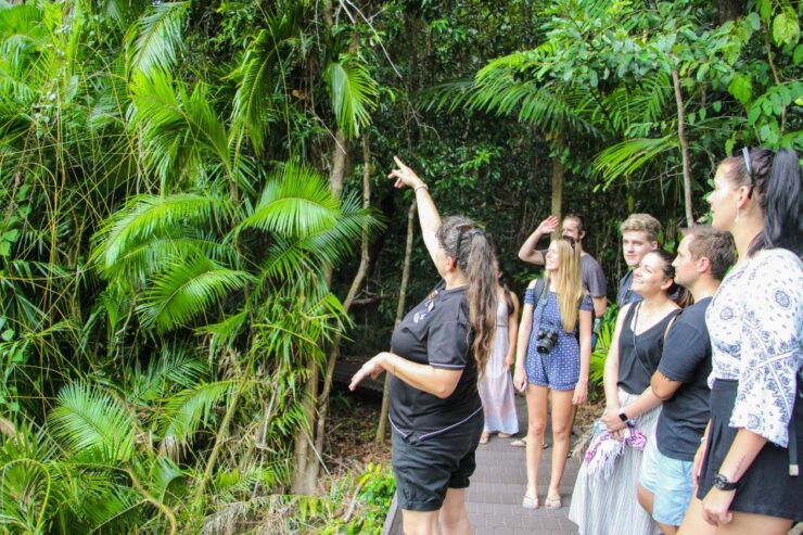 From Cairns: Daintree Wilderness & Cape Tribulation Bus Tour - Tour Highlights