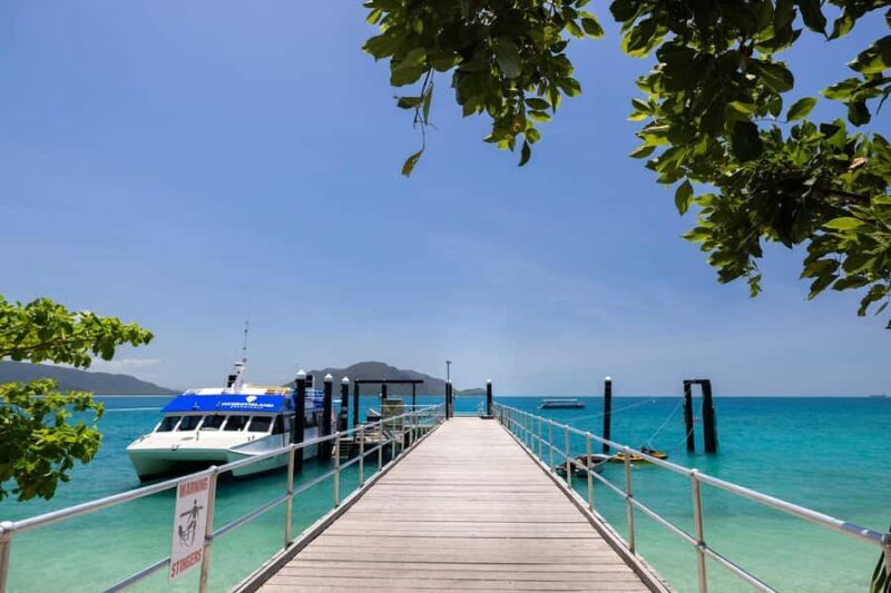 From Cairns: Fitzroy Island Day Trip by Ferry - An In-Depth Look at the Fitzroy Island Day Trip