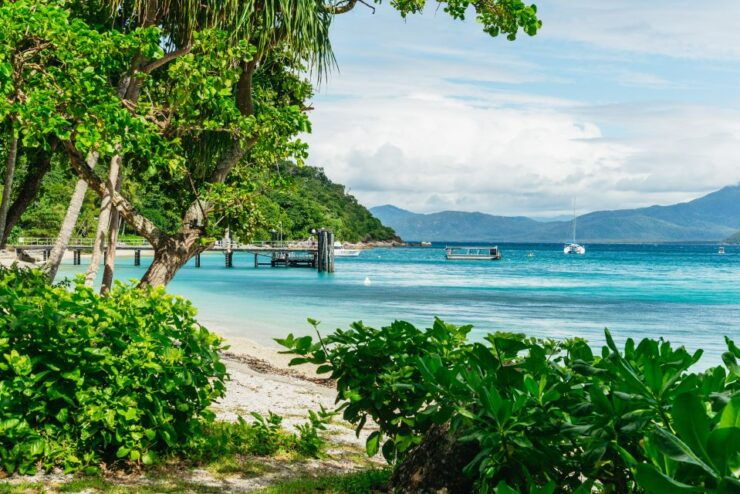 From Cairns: Fitzroy Island Full-Day Adventure Tour - Trip Highlights