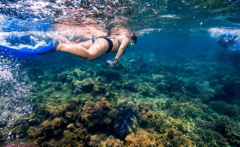 From Cairns: Frankland Island All-Inclusive Day Tour - Final Thoughts