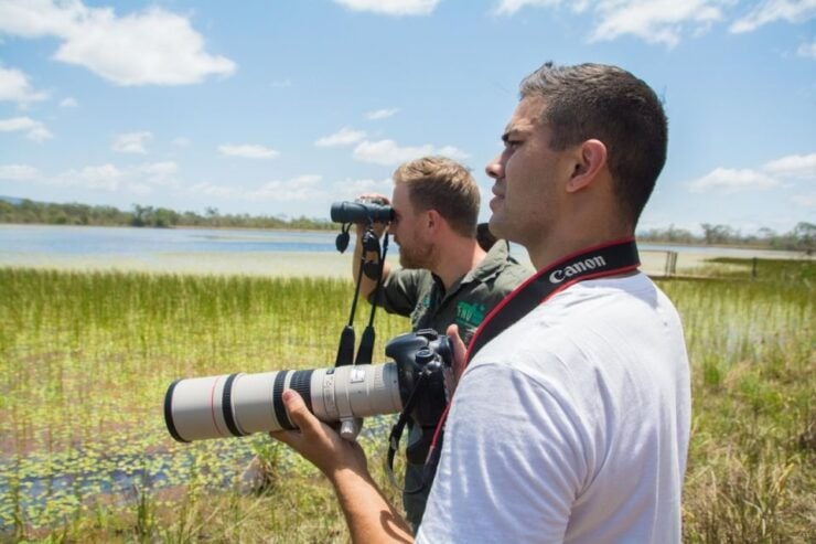 From Cairns: Full-Day Birdwatching Excursion - Activity Details