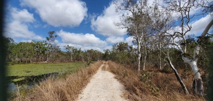 From Cairns: Full-Day Birdwatching Excursion - Experience Highlights