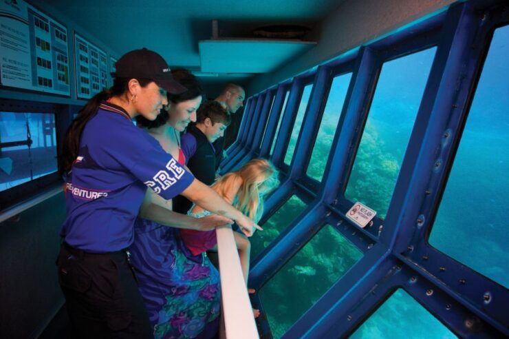 From Cairns: Great Barrier Reef Cruise and Activity Platform - Activity Details