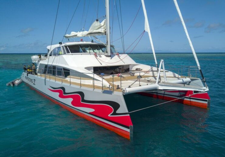 From Cairns: Great Barrier Reef Cruise by Premium Catamaran - Unforgettable Reef Experience