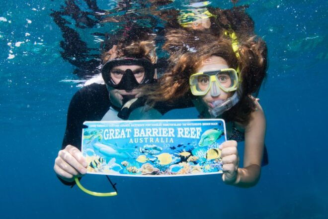 From Cairns: Great Barrier Reef Cruise by Premium Catamaran - Catamaran Day Trip Highlights