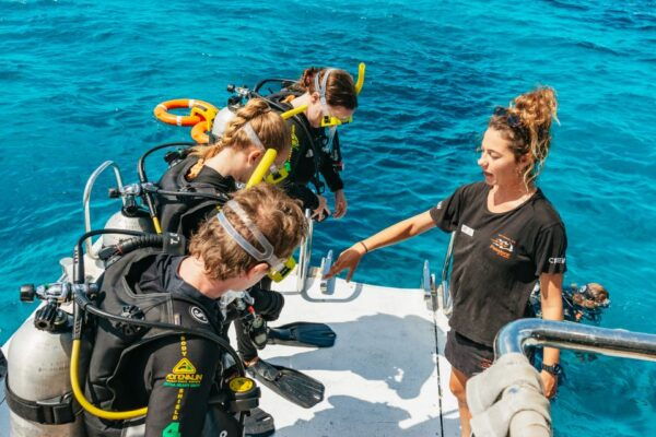 From Cairns: Great Barrier Reef Cruise by Premium Catamaran - Convenient Parking Options