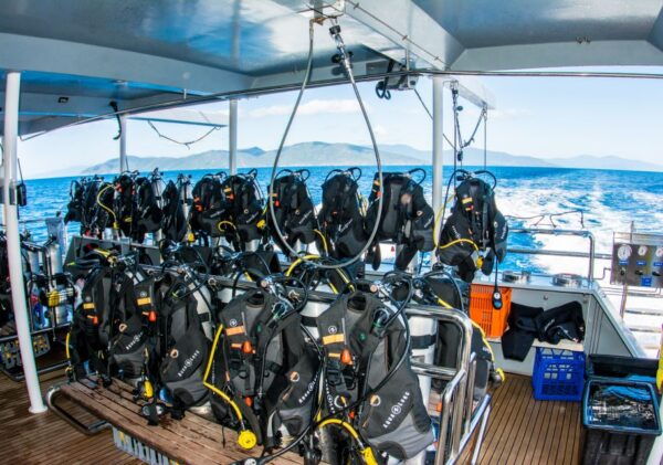 From Cairns: Great Barrier Reef Cruise by Premium Catamaran - Common Questions