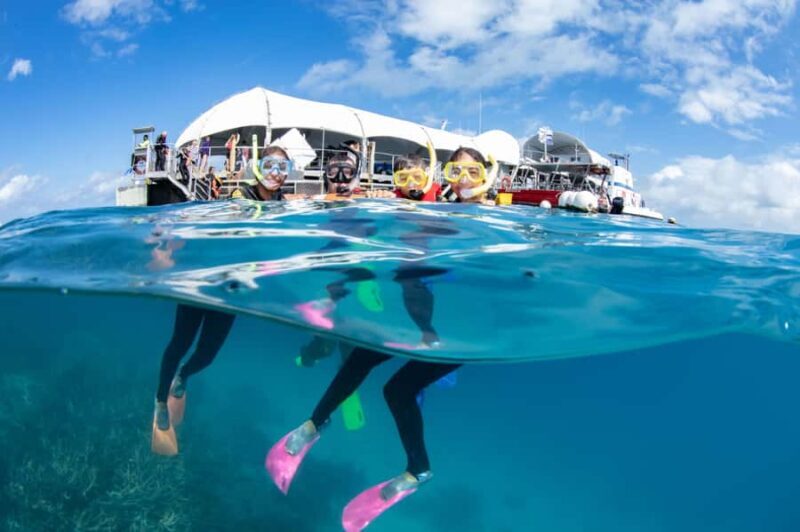 From Cairns: Great Barrier Reef Pontoon Experience - An In-Depth Look at the Tour