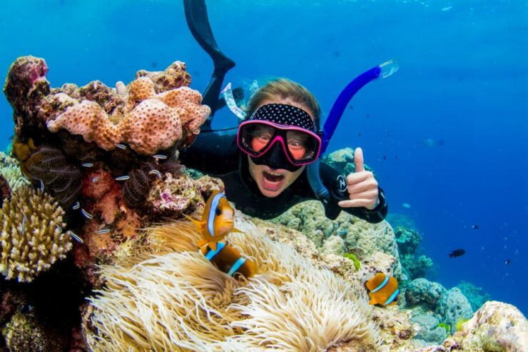 From Cairns: Great Barrier Reef Snorkeling Tour With Lunch - Experience Highlights
