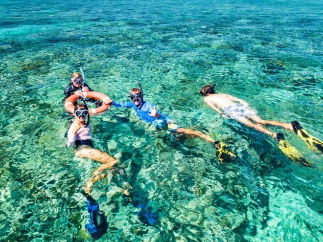 From Cairns: Great Barrier Reef Snorkeling Tour With Lunch - Important Information