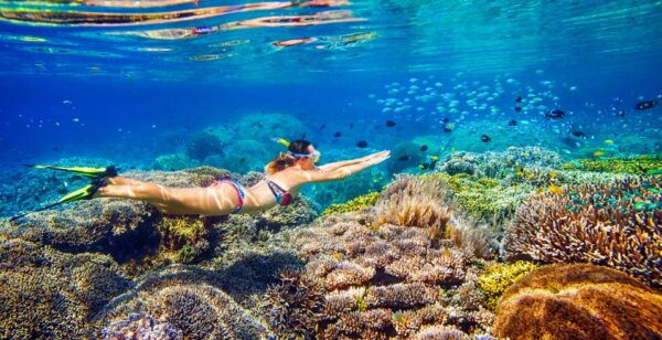 From Cairns: Great Barrier Reef Snorkeling Tour With Lunch - Directions