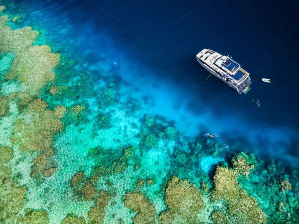 From Cairns: Great Barrier Reef Snorkeling Tour With Lunch - The Sum Up