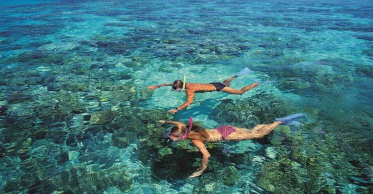 From Cairns: Green Island Half-Day Morning Cruise - Island Exploration