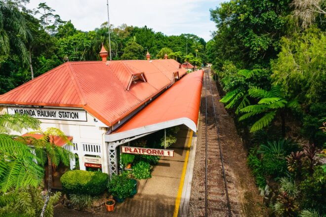 From Cairns: Kuranda Day Trip W/ Kuranda Train and Skyrail - Glide Above the Rainforest Canopy on the Skyrail