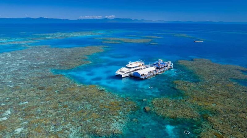 From Cairns: Moore Reef, Fitzroy Island Tour with Helicopter - A Comprehensive Look at the Tour Experience