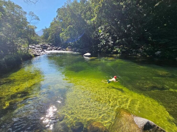 From Cairns: Mossman Gorge Tour & Daintree Rainforest Cruise - Tour Highlights