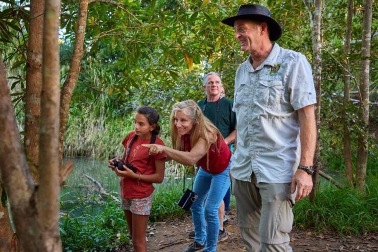 From Cairns: Rainforest & Nocturnal Wildlife Tour - Experience Highlights