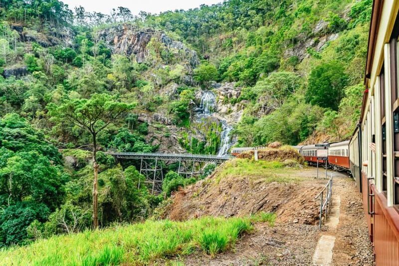 From Cairns: Self-Guided Kuranda Trip with Train and Skyrail - Authentic Experiences and Insights from Reviews